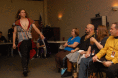 ValleyCon 37 - 2011